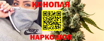 гидра Лесосибирск